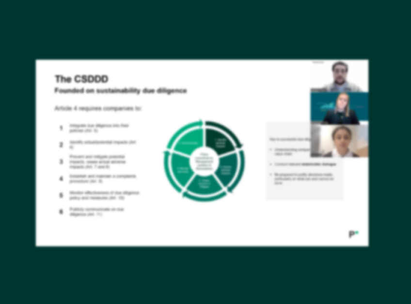 What can companies expect from the CSDDD?