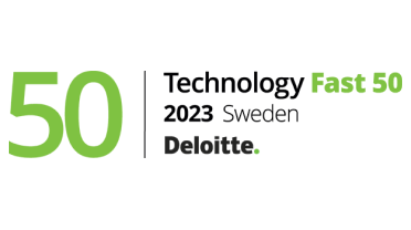 Deloitte award badge