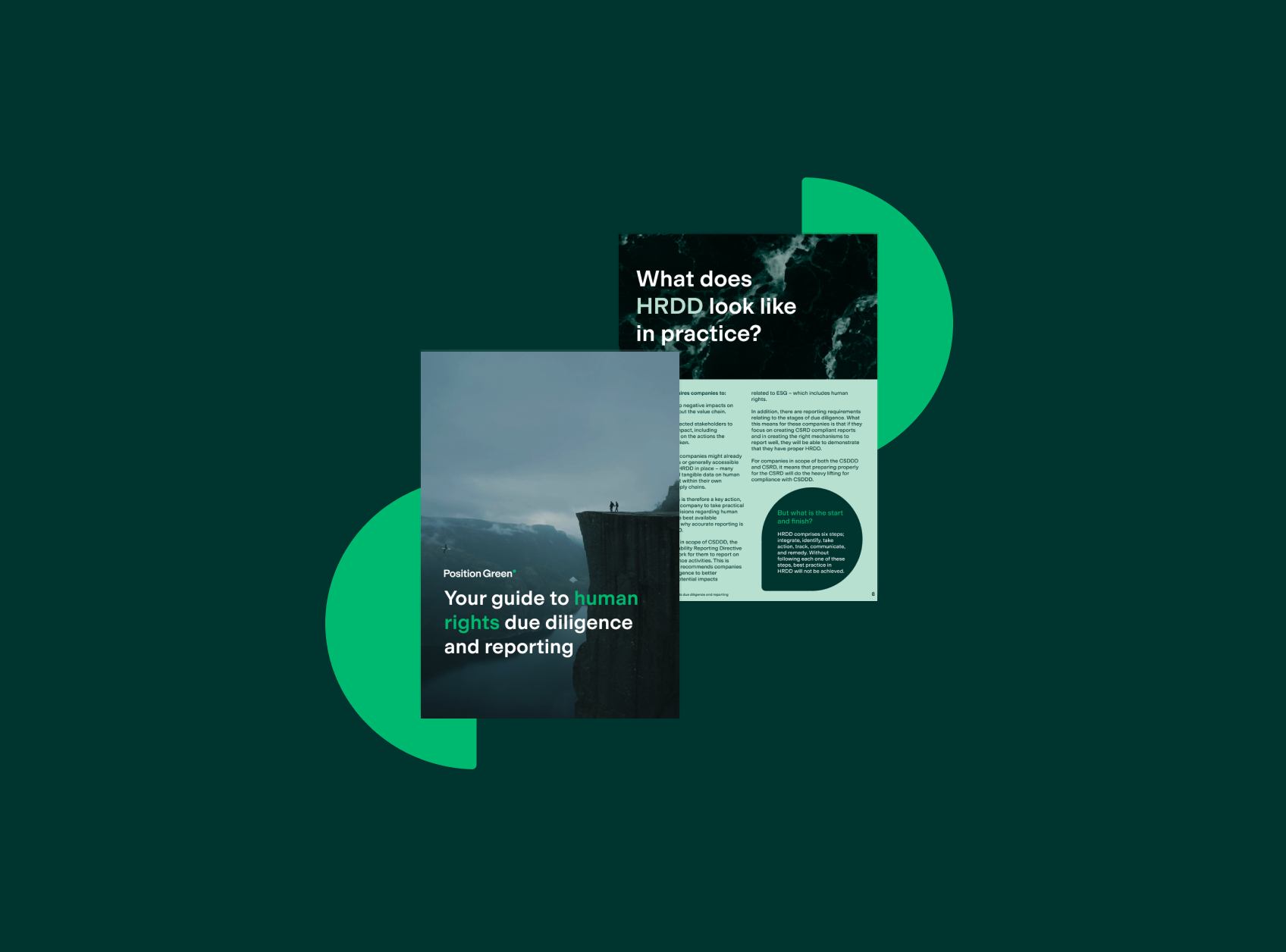 Your guide to human rights due diligence and reporting