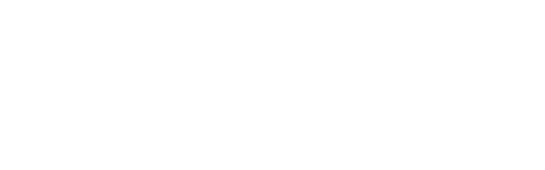 citti logo