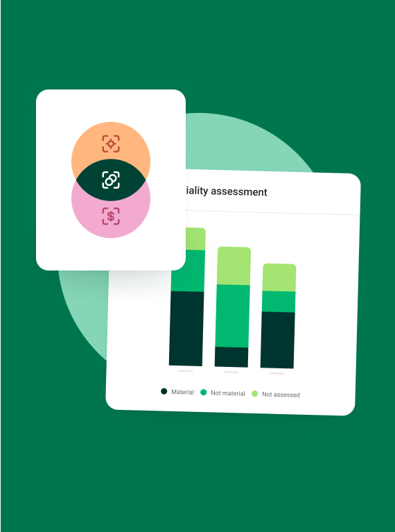 materiality assessment feature